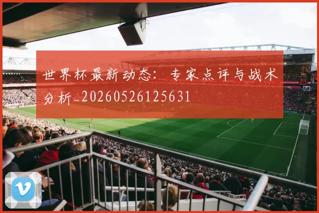 世界杯最新动态:专家点评与战术分析_20260526125631