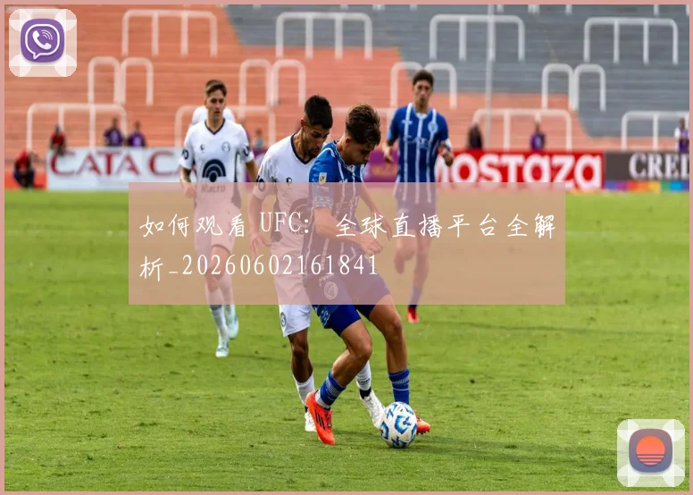 如何观看 UFC:全球直播平台全解析_20260602161841