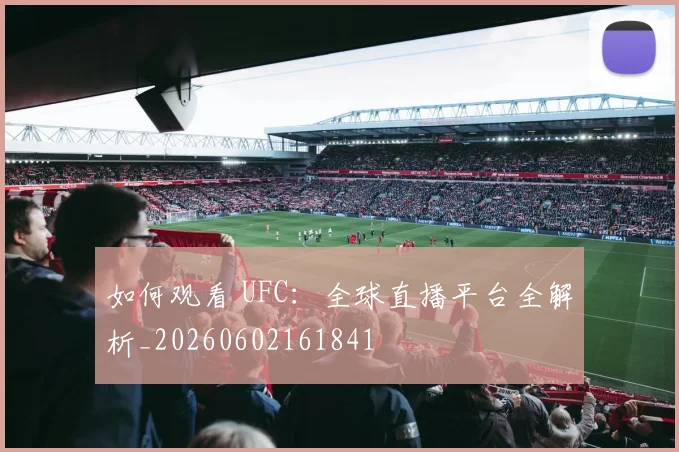 如何观看 UFC:全球直播平台全解析_20260602161841