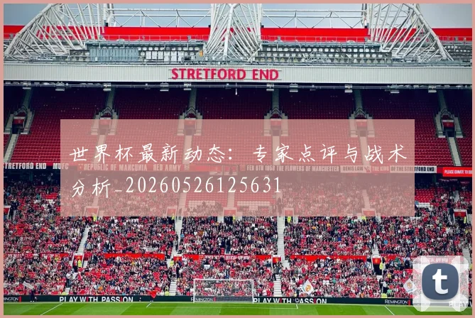 世界杯最新动态:专家点评与战术分析_20260526125631