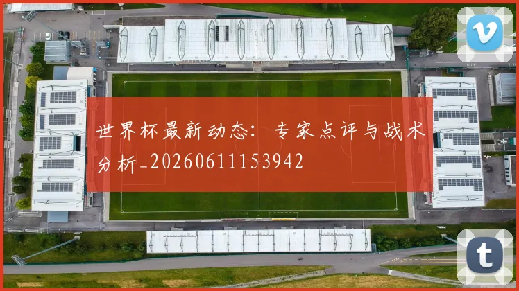 世界杯最新动态：专家点评与战术分析_20260611153942